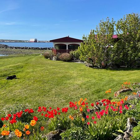 Alka - Cozy Room By The Sea With Private Hot Tub Njarthvik Екстериор снимка