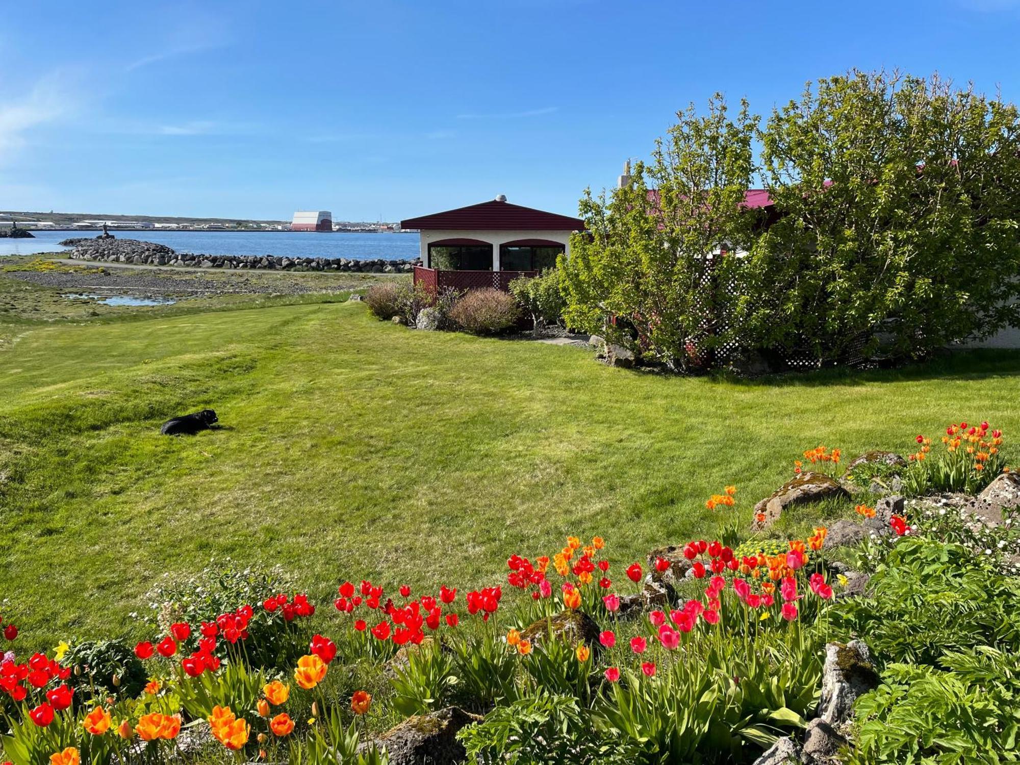 Alka - Cozy Room By The Sea With Private Hot Tub Njarthvik Екстериор снимка